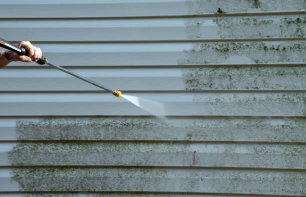 Best Building Exterior Washing  in North Branch, MI