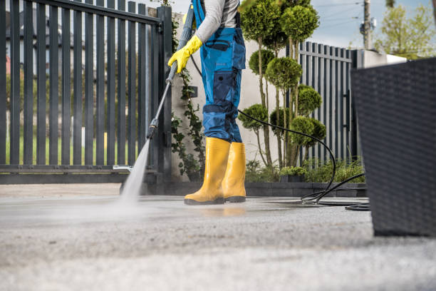 Best Gas Station Cleaning  in North Branch, MI